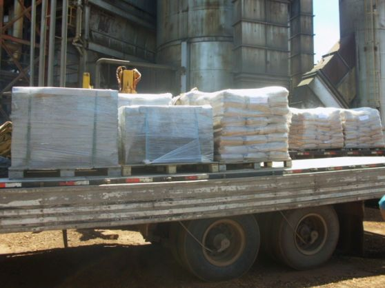 imagem_2022-06-02_144843056