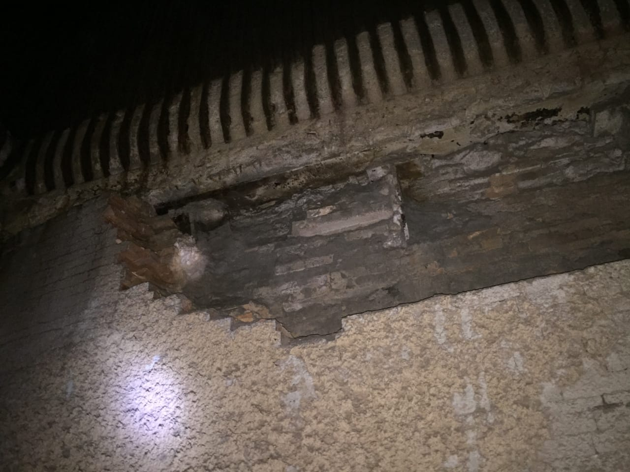 imagem_2022-06-02_154742588